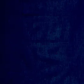 Traditional Raj Drapes - Plain - Indigo (10 Pairs)